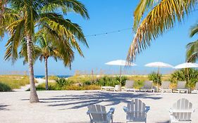 The Molloy Motel Treasure Island Florida